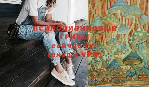 гашиш Абаза