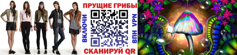 сколько стоит  Нарьян-Мар  Галлюциногенные грибы Psilocybe 